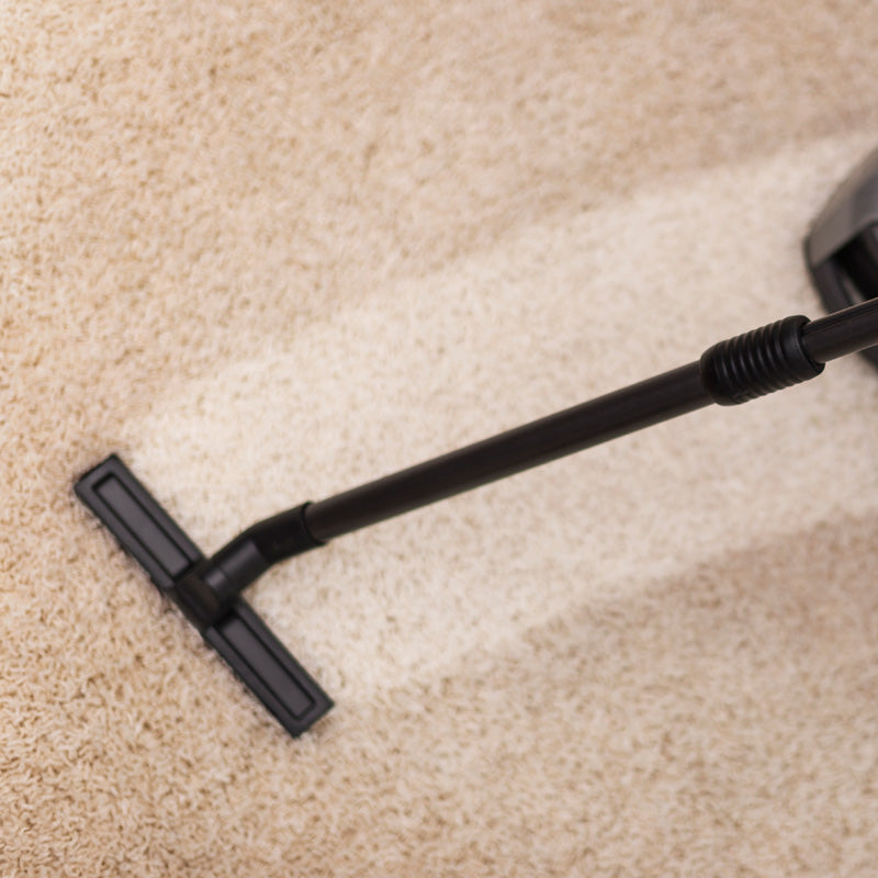 Carpet & Upholstery Cleaners